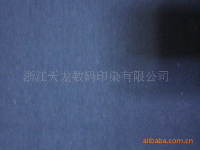 【現(xiàn)貨人棉汗布 人棉竹節(jié)汗布 人棉錦綸羅馬布 麻灰黑色雙色羅馬布】?jī)r(jià)格,廠家,圖片,針織面料,浙江天龍數(shù)碼印染瑞士蘇拉大機(jī)打孔繡平繡花工廠 -